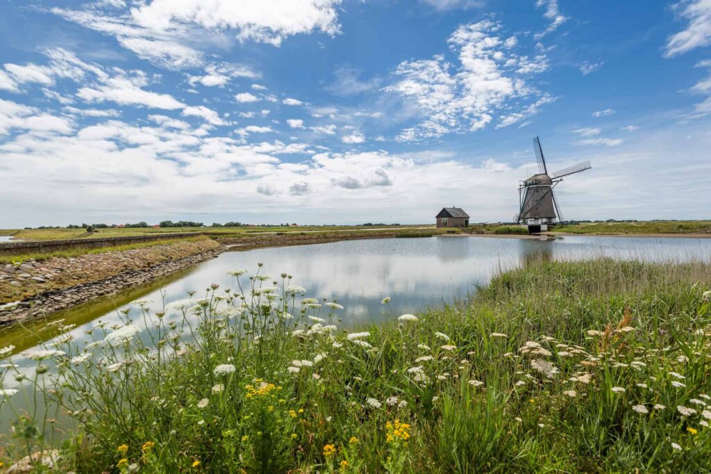 EV00415 - EV00416 Texel I-II 17