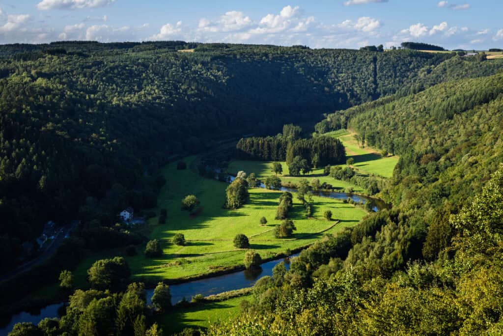 EV00436 Bertonge 2