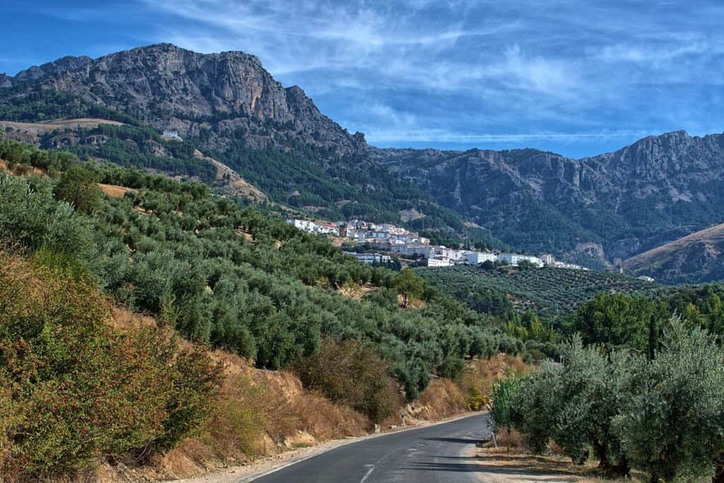 landscape-3730384_1280