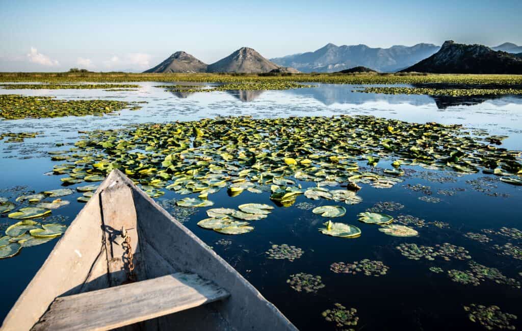 skadar