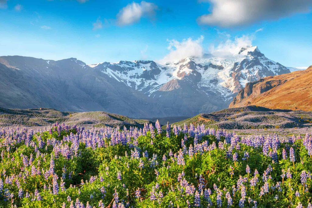 skaftafell