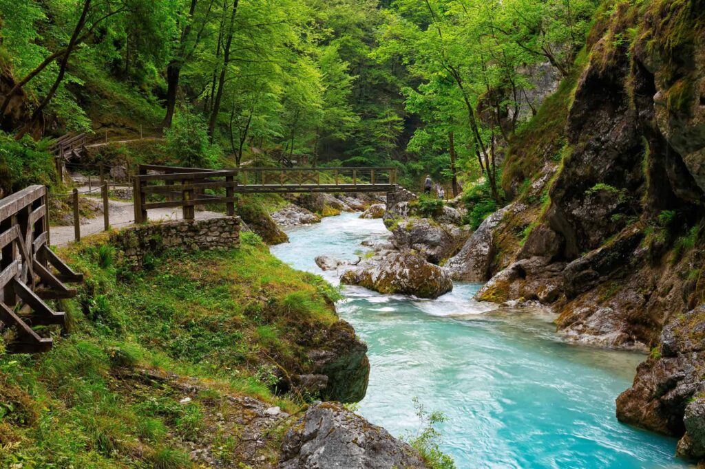 tolmin