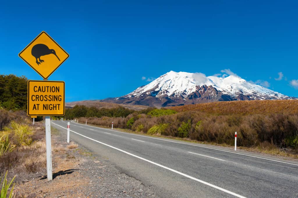 Kiwi,Sign,Near,The,Road,Leading,To,The,Volcano,Mt.