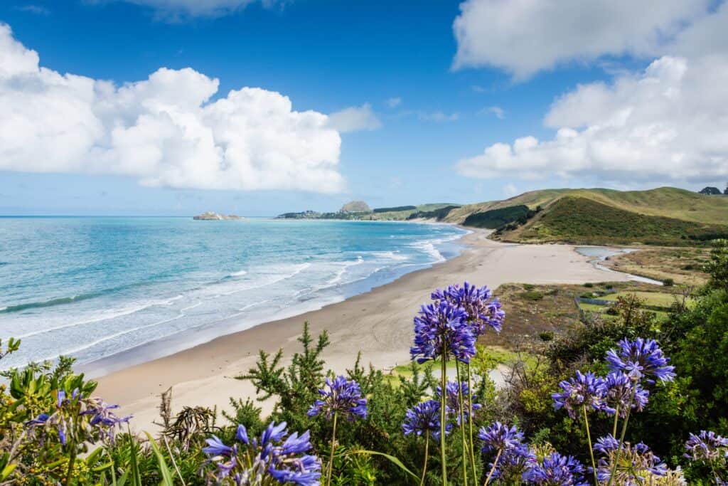 View,South,Along,The,Beach,At,The,Mouth,Of,The