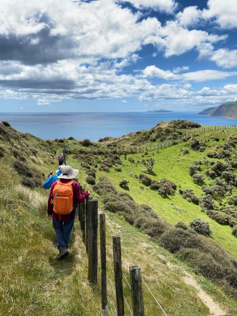Hikers,On,Beautiful,Coastal,Farmland,At,Makara,Beach,,Wellington,New